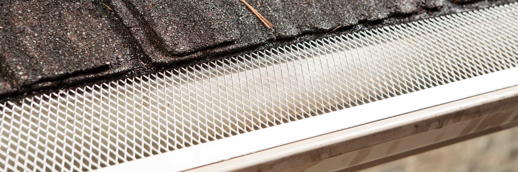 Mesh gutter guard over a white gutter below asphalt shingles
